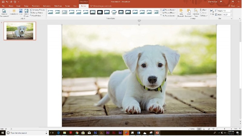 画像の背景を削除する方法【Photoshop・PowerPoint・オンラインツール対応】