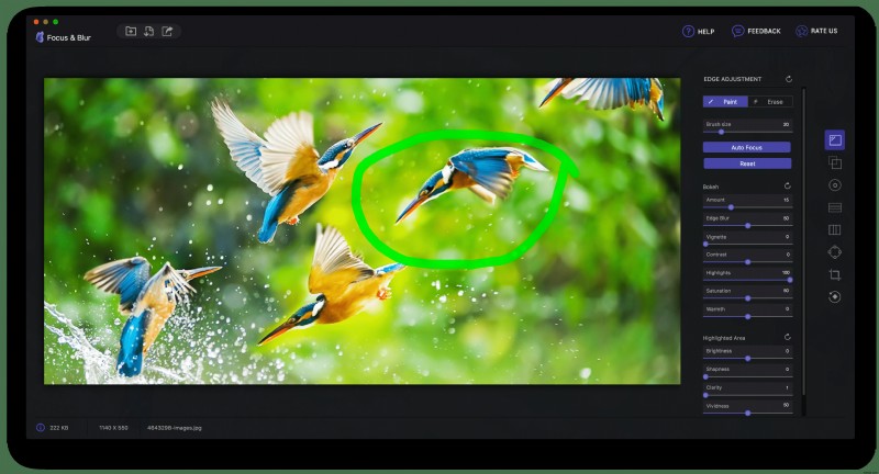 Mac用アプリ「Focus & Blur」でフォーカスとぼかしを操り、思い出の写真を美しく際立たせる方法