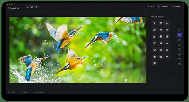 Mac用アプリ「Focus & Blur」でフォーカスとぼかしを操り、思い出の写真を美しく際立たせる方法