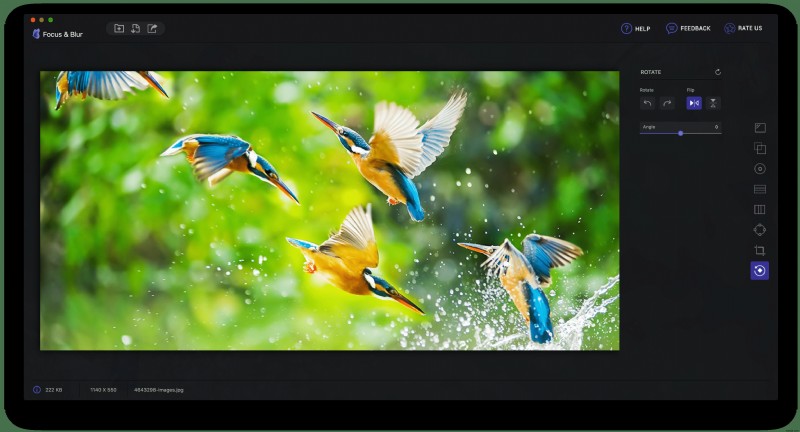 Mac用アプリ「Focus & Blur」でフォーカスとぼかしを操り、思い出の写真を美しく際立たせる方法