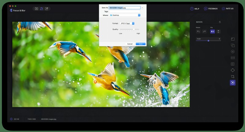 Mac用アプリ「Focus & Blur」でフォーカスとぼかしを操り、思い出の写真を美しく際立たせる方法
