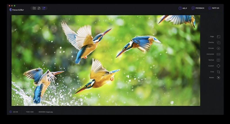 Mac用アプリ「Focus & Blur」でフォーカスとぼかしを操り、思い出の写真を美しく際立たせる方法
