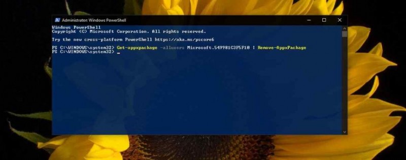 Windows 10でCortanaが見つからない？原因と解決策6選を徹底解説