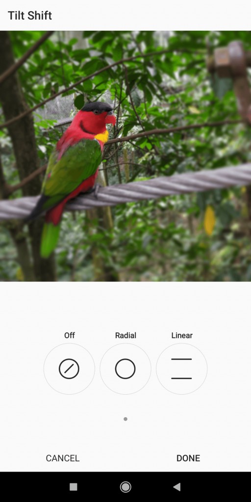 Android・iPhoneで写真の背景をぼかすのに最適なおすすめアプリ6選