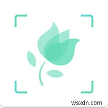 Android・iPhone対応!おすすめ植物識別アプリ10選【最新版】