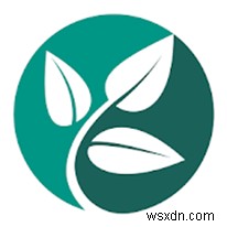 Android・iPhone対応!おすすめ植物識別アプリ10選【最新版】