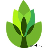 Android・iPhone対応!おすすめ植物識別アプリ10選【最新版】