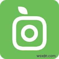 Android・iPhone対応!おすすめ植物識別アプリ10選【最新版】