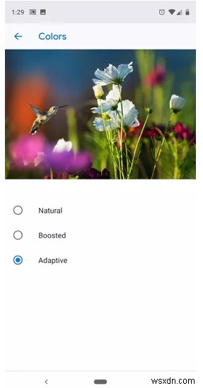 Pixel 3 / Pixel 3 XLで今すぐ変更したいおすすめ設定8選