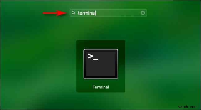 Macでターミナルを開く4つの方法を徹底解説