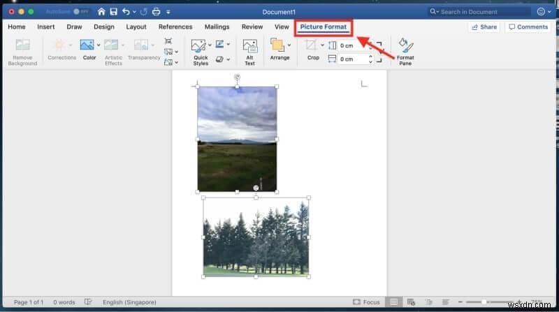 MacでJPEG画像を画質を落とさずに圧縮・回転・反転する5つの方法