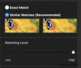 Duplicate Photos Fixer ProでMacの重複写真を最適な方法で一括削除する方法