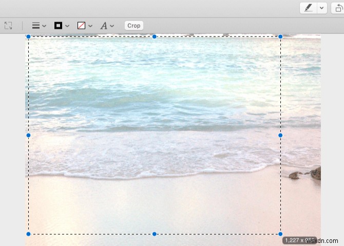 Macの「プレビュー」アプリで写真を編集する方法｜切り抜き・リサイズ・色調整を徹底解説