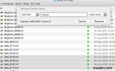 Macで複数のファイル名を一括変更する方法｜Finderの標準機能で簡単リネーム