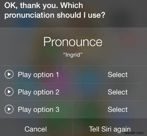 Siriの発音を直す方法|名前や単語を正しく読み上げさせる設定手順