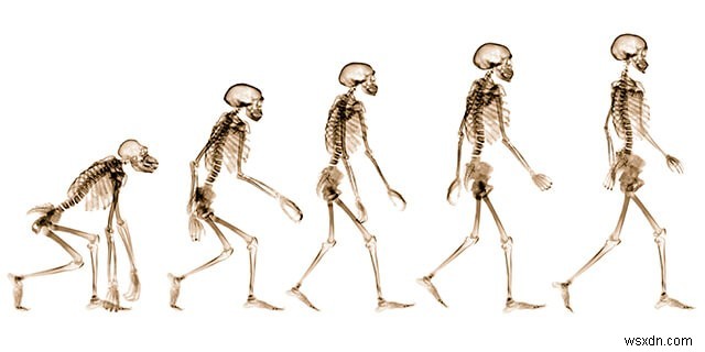 科学を疑う力――偉大な発見はすべて「問い」から始まる
