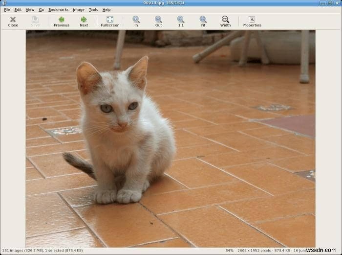 デジタル写真を整理するなら!Linuxにおすすめのフォトマネージャー7選