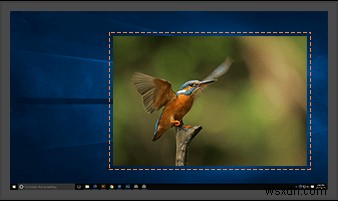 TweakShot徹底解説|スクリーンキャプチャ&動画録画を1本にまとめた最強ツール