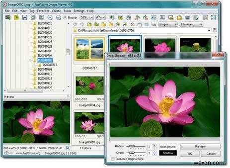 【2022年版】Picasaの代わりに使えるおすすめ写真管理ツール7選