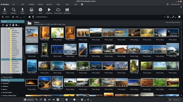 【2022年版】Picasaの代わりに使えるおすすめ写真管理ツール7選