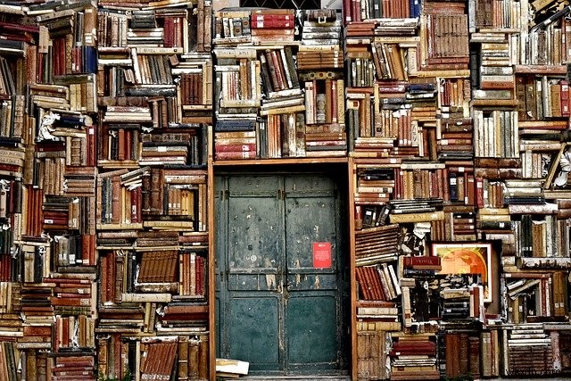 図書館のデジタル化と無料読書プラットフォーム――紙の本と電子書籍、その未来はどちらへ
