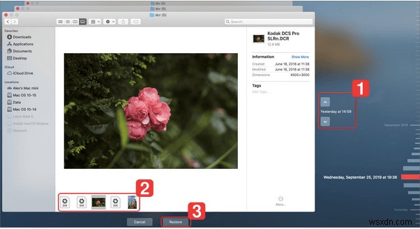 削除した写真を完全復元!Windows・Mac・Android・iPhoneの復元方法を徹底解説