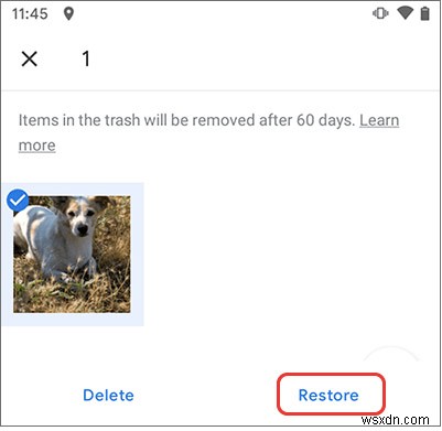 削除した写真を完全復元!Windows・Mac・Android・iPhoneの復元方法を徹底解説