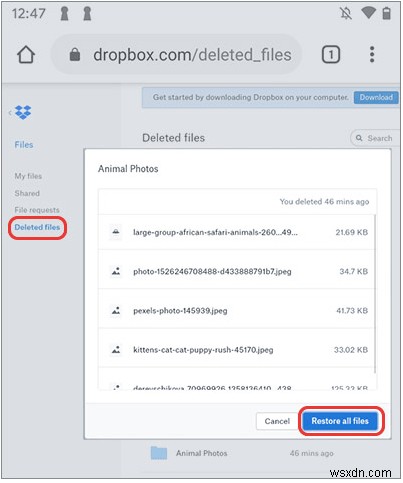 削除した写真を完全復元!Windows・Mac・Android・iPhoneの復元方法を徹底解説