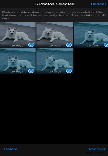 誤って削除した結婚式の写真を復元する方法【Windows・Android・iPhone対応】