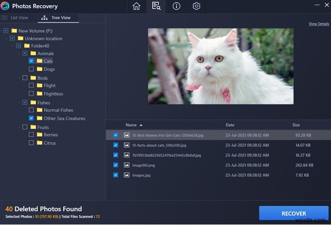 Windows PCで削除した写真フォルダを丸ごと復元する方法