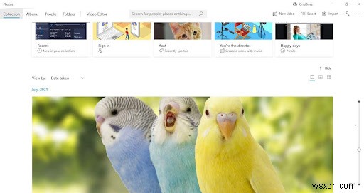 Microsoft純正アプリ「写真」を使って重複画像を削除する方法