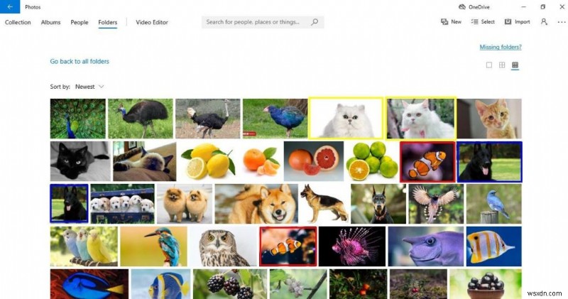 Microsoft純正アプリ「写真」を使って重複画像を削除する方法