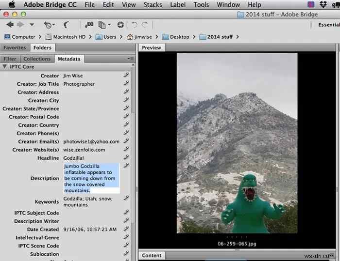 写真を著作権で守る方法｜登録手順と無断使用対策を徹底解説