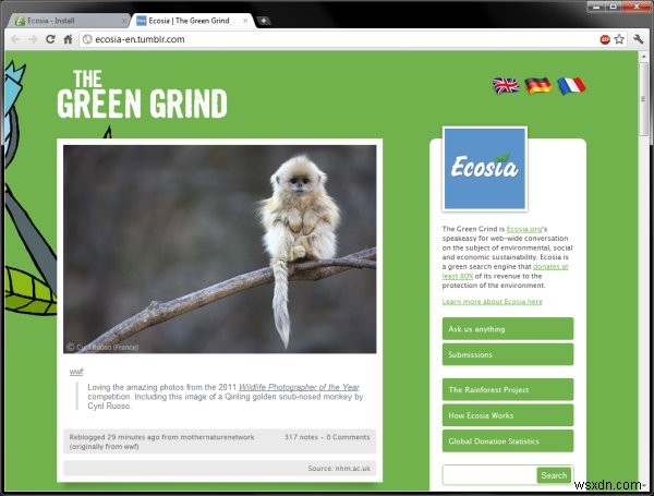Ecosia(エコシア)レビュー – 検索するだけで熱帯雨林を守れる環境配慮型検索エンジン