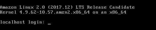 Amazon Linux 2仮想マシンのログインパスワードを手動で変更する方法