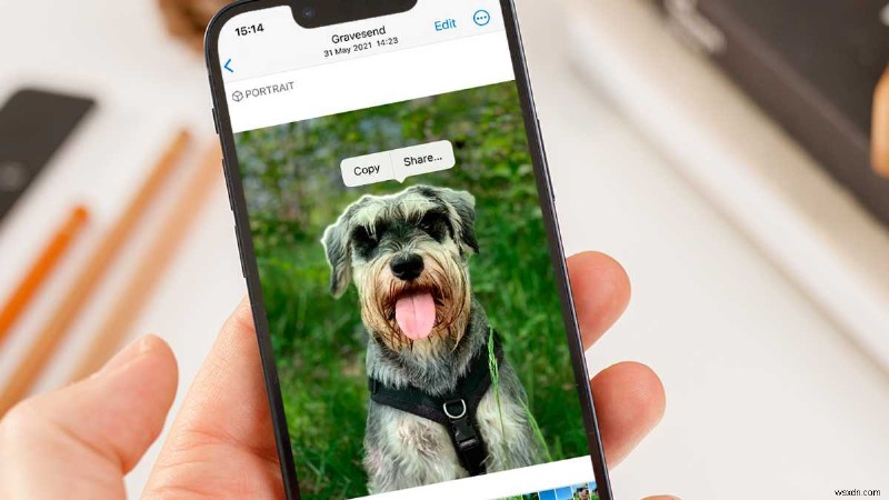 iOS 16の新機能「被写体を切り抜く」の使い方と活用術