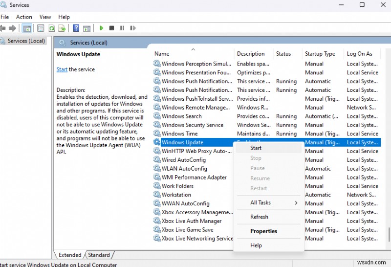 Windows Updateエラー0x80248007を解決する方法｜ステップバイステップ完全ガイド