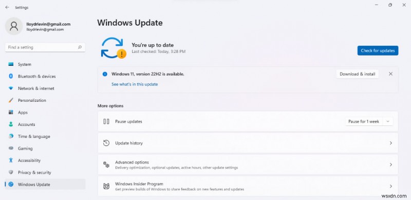 Windows 11で画面の明るさが調整できないときの対処法|ディスプレイ制御を復元する8つの解決策