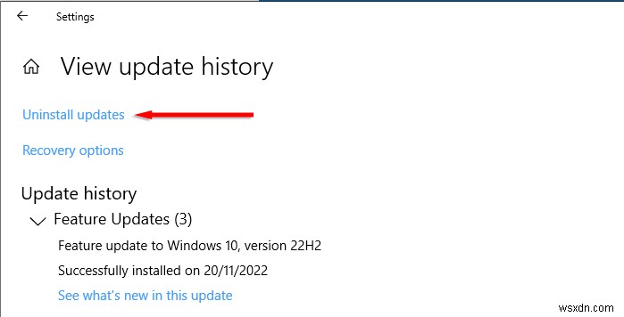 Windowsのホワイトスクリーン・オブ・デス(WSOD)とは?原因と8つの解決策を徹底解説