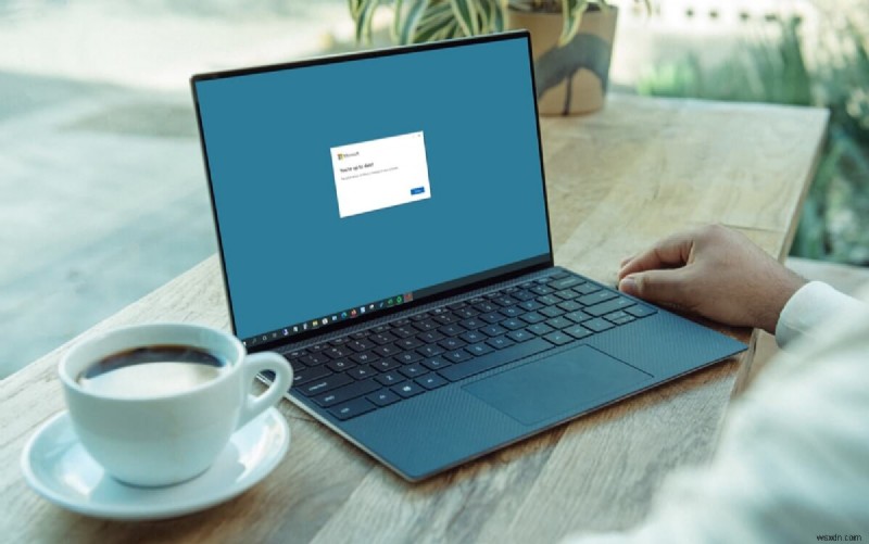 WindowsとMacでMicrosoft Officeをアップデートする方法｜ステップバイステップガイド