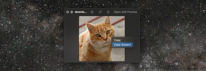 macOSで写真の背景を簡単に削除する方法:Macユーザー向けクイックガイド