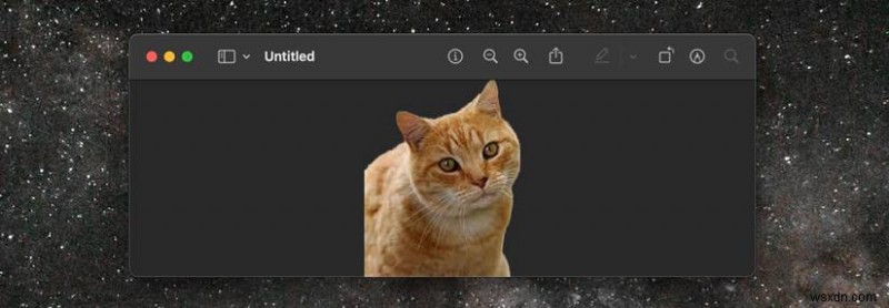 macOSで写真の背景を簡単に削除する方法:Macユーザー向けクイックガイド