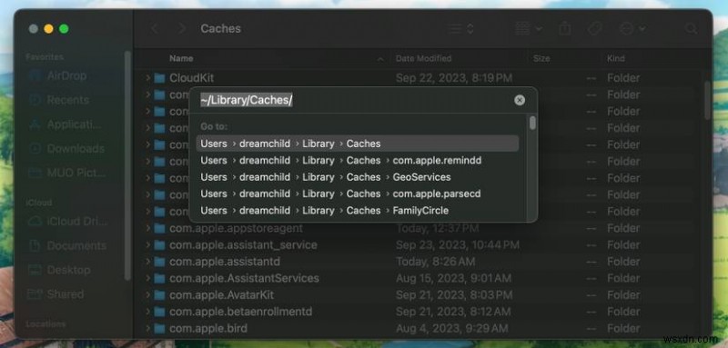 Macのシステムキャッシュとインターネットキャッシュを削除する方法|ステップバイステップ完全ガイド