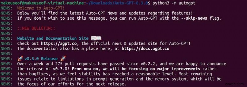 UbuntuにAuto-GPTをインストール・設定する完全ステップバイステップガイド