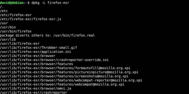Debian/Ubuntuでaptがインストールしたプログラムの場所を特定する方法:クイックガイド