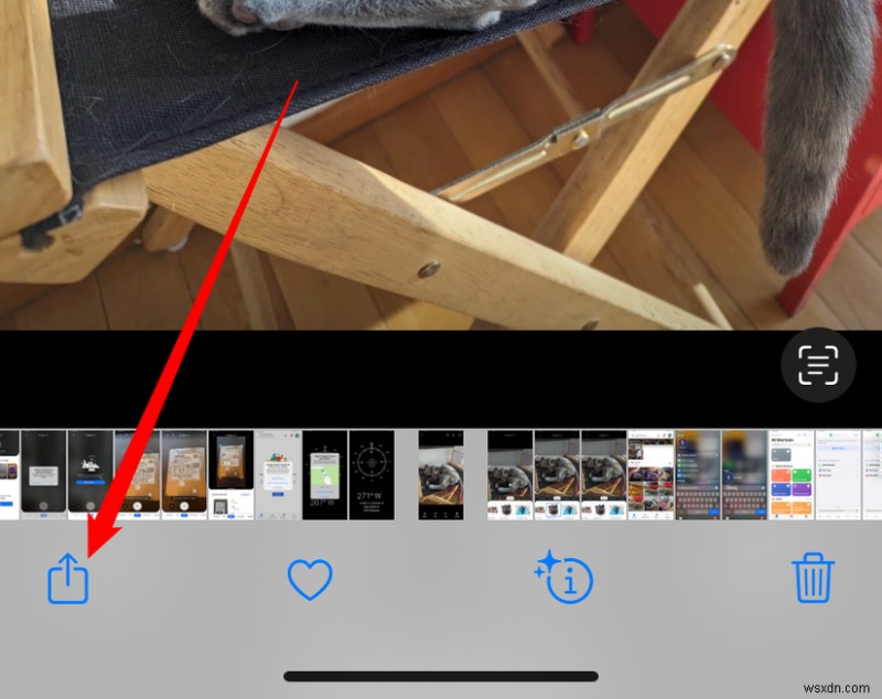 iPhoneの写真を数分でWindows 11に転送する方法【初心者向け完全ガイド】