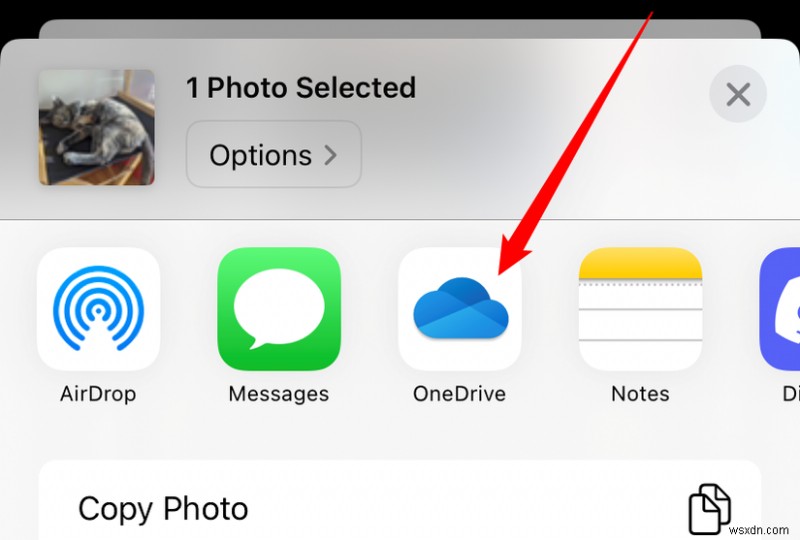 iPhoneの写真を数分でWindows 11に転送する方法【初心者向け完全ガイド】
