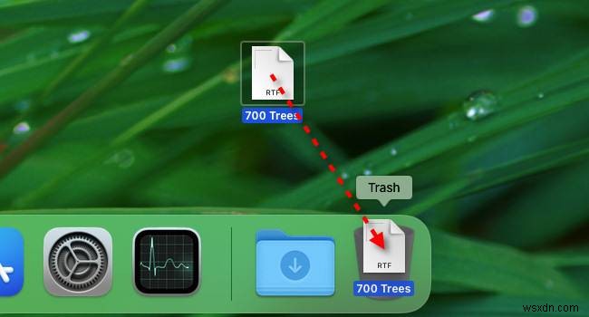 Macのゴミ箱(Trash)の使い方完全ガイド|削除・復元・自動削除設定まで