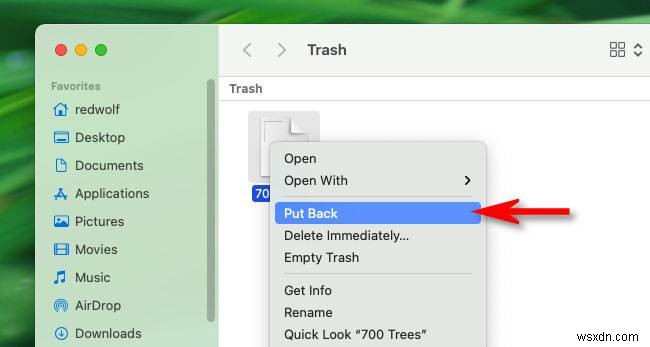 Macのゴミ箱(Trash)の使い方完全ガイド|削除・復元・自動削除設定まで