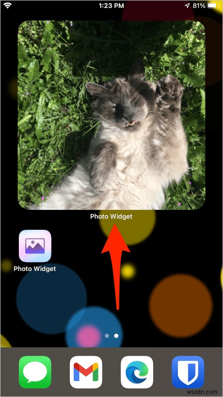 iOSの写真ウィジェットをカスタマイズ!ホーム画面にお気に入りの画像だけを表示する方法